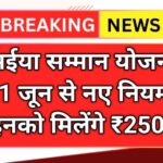 Maiya Samman Yojana New Rule 2025
